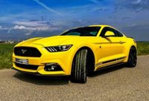 Mustang Fastback 2.3 EcoBoost 317 2016 occasion 26800 Portes-l&egrave;s-Valence