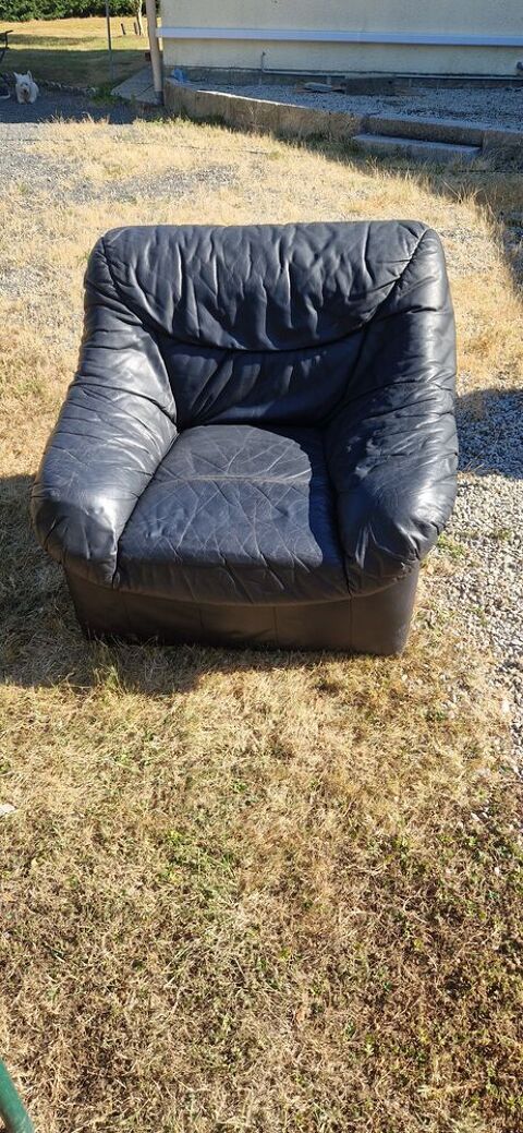 Fauteuil cuir 50 Plestan (22)