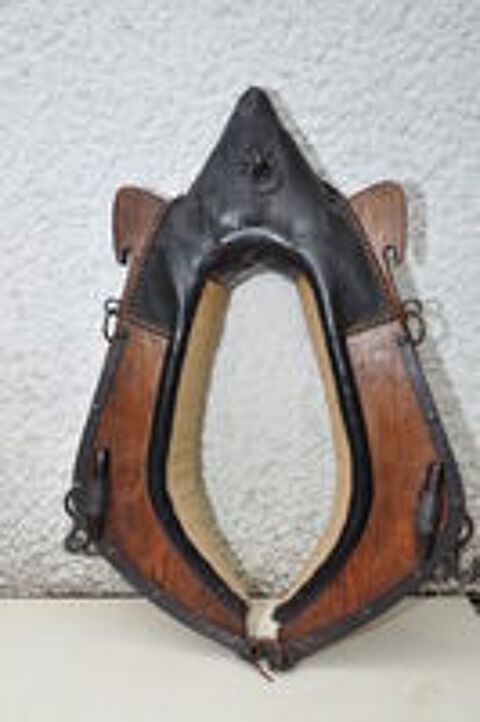   Collier de cheval 