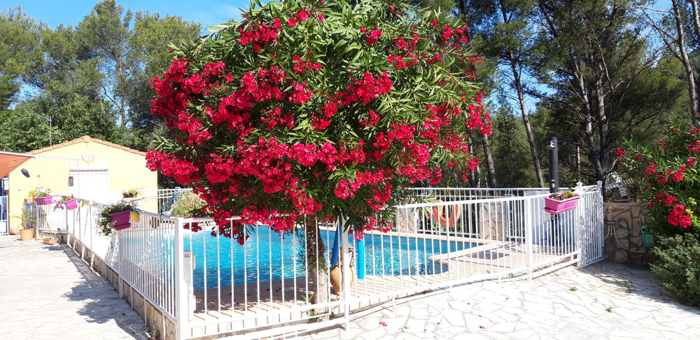   COTE D AZUR MAISON  4 PERS, LE VAR, PISCINE CLIM et PARKING  Provence-Alpes-Côte d'Azur, Toulon (83200)