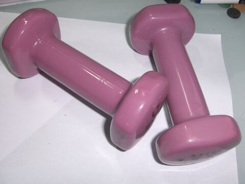 Halt�res plastique roses  2 x 1,5 kg 10 Sauchy-Cauchy (62)