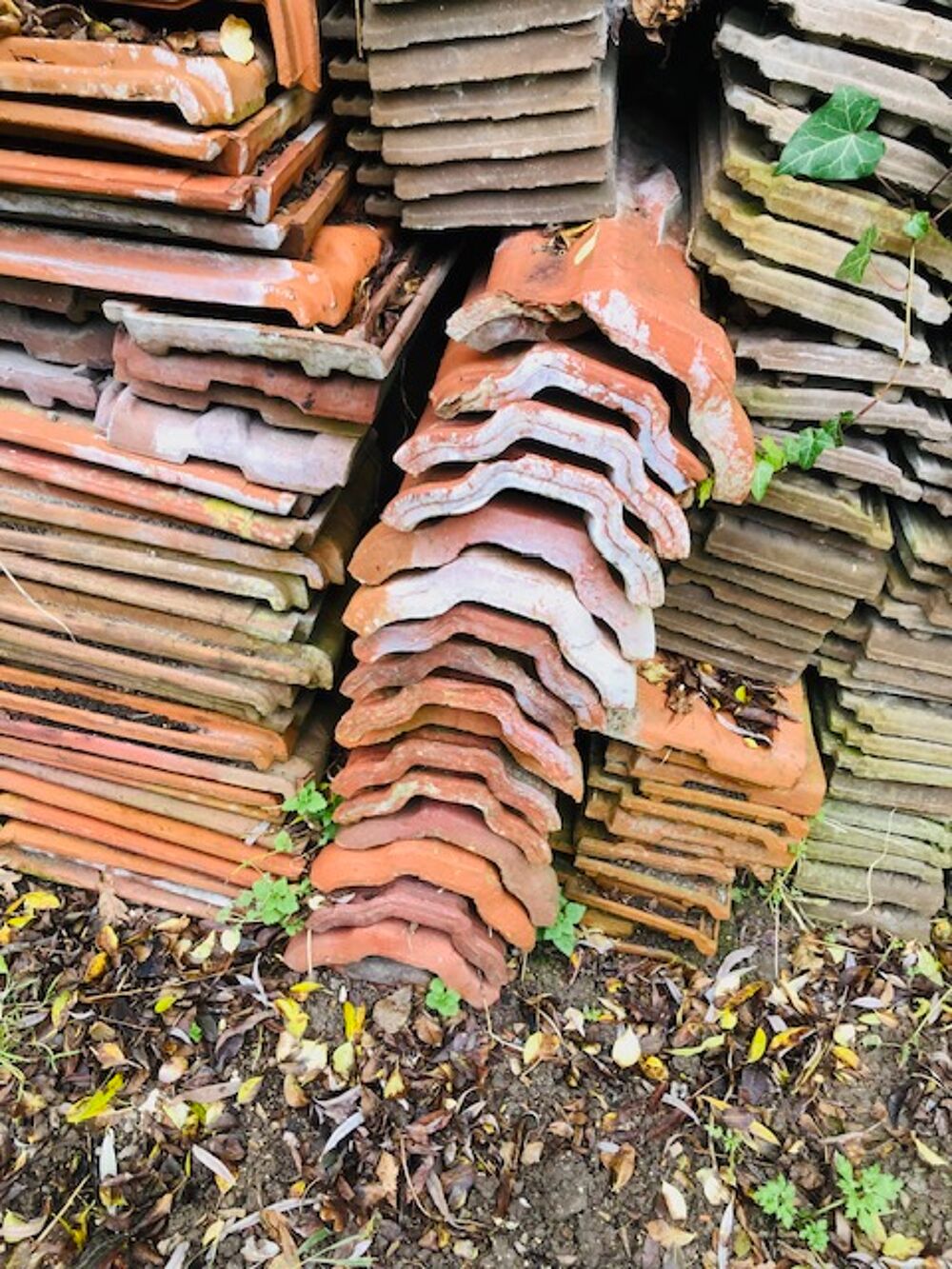  TUILES MECANIQUES
Jardin