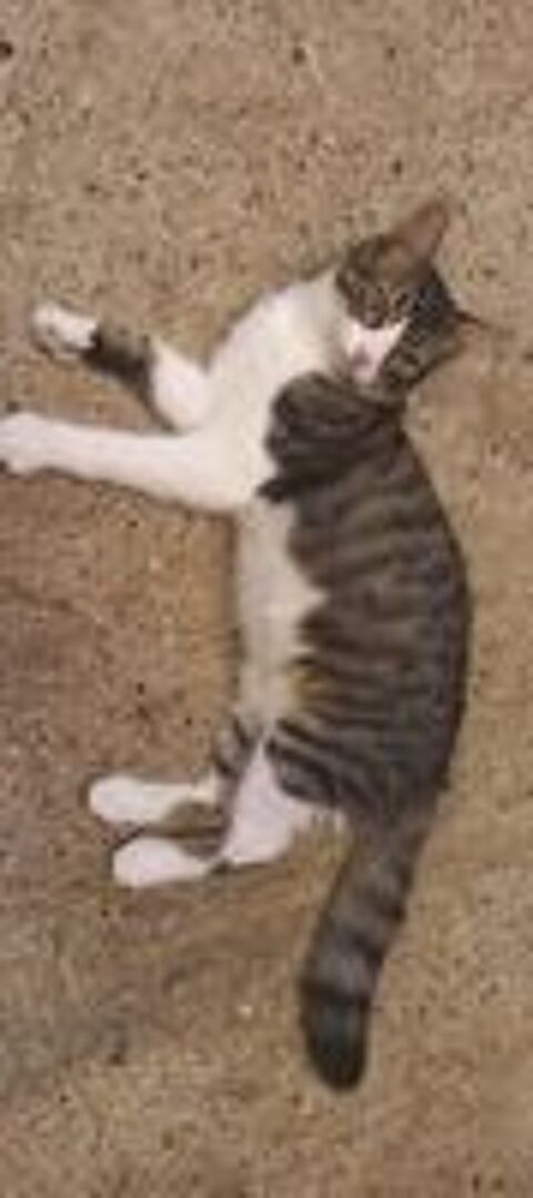   ODIN & OLYMPE 
