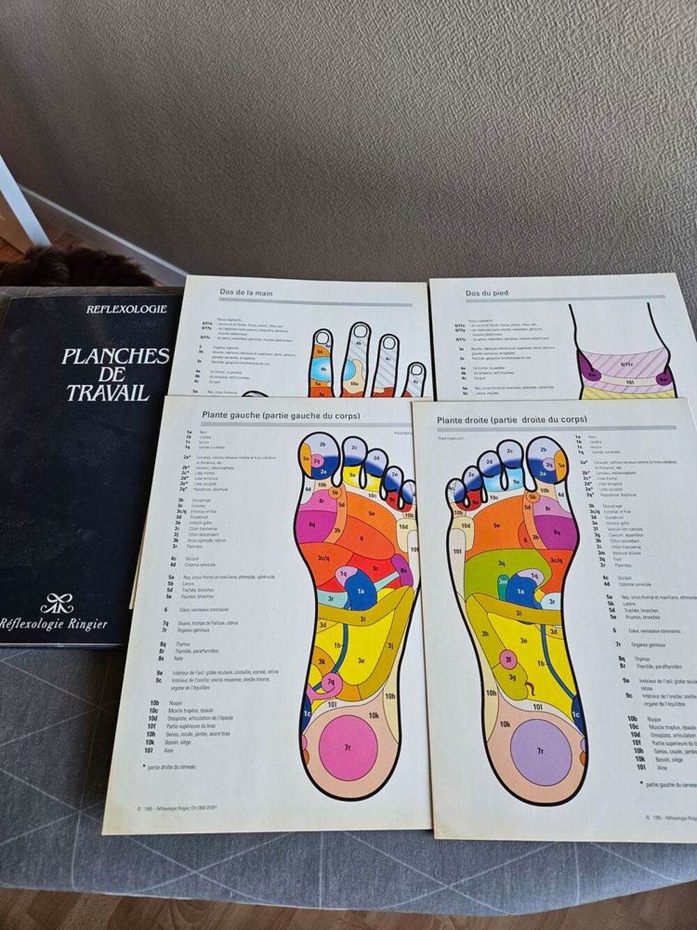 AFF :planche de massage pieds Ringier+dossier Sports