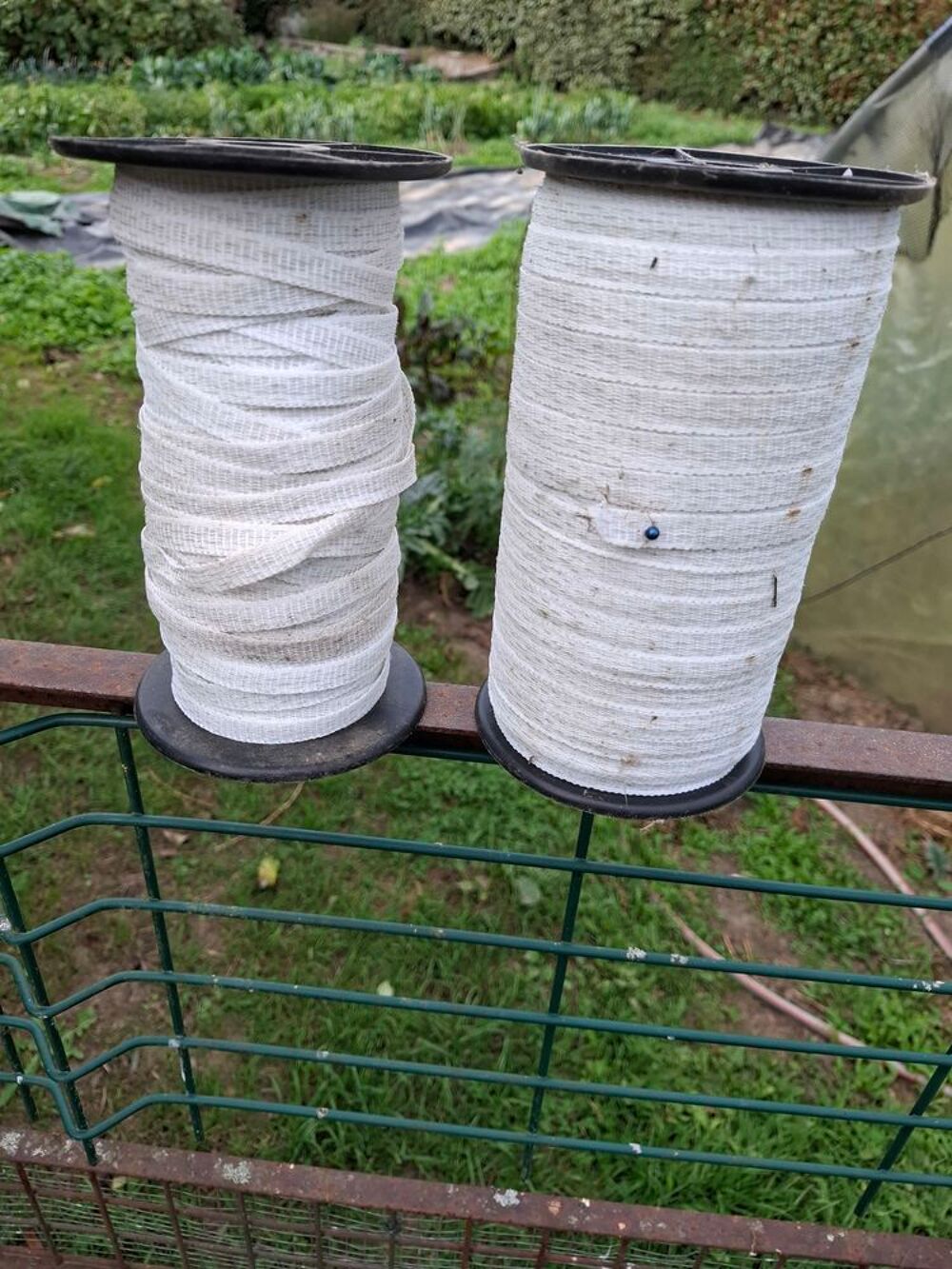   ruban électrique nylon pour cloture , xhevaux moutons 