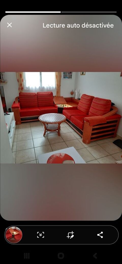 salon 250 Dom�ne (38)