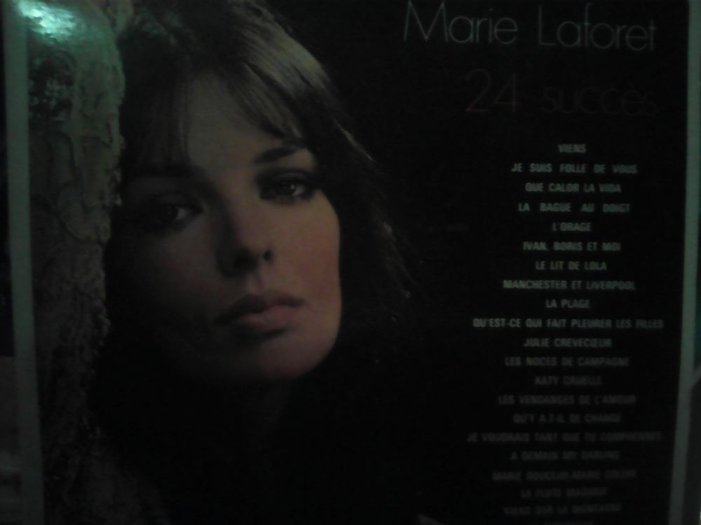 Vynil de Marie Lafor&ecirc;t ses 24 succ&egrave;s 10 CD et vinyles