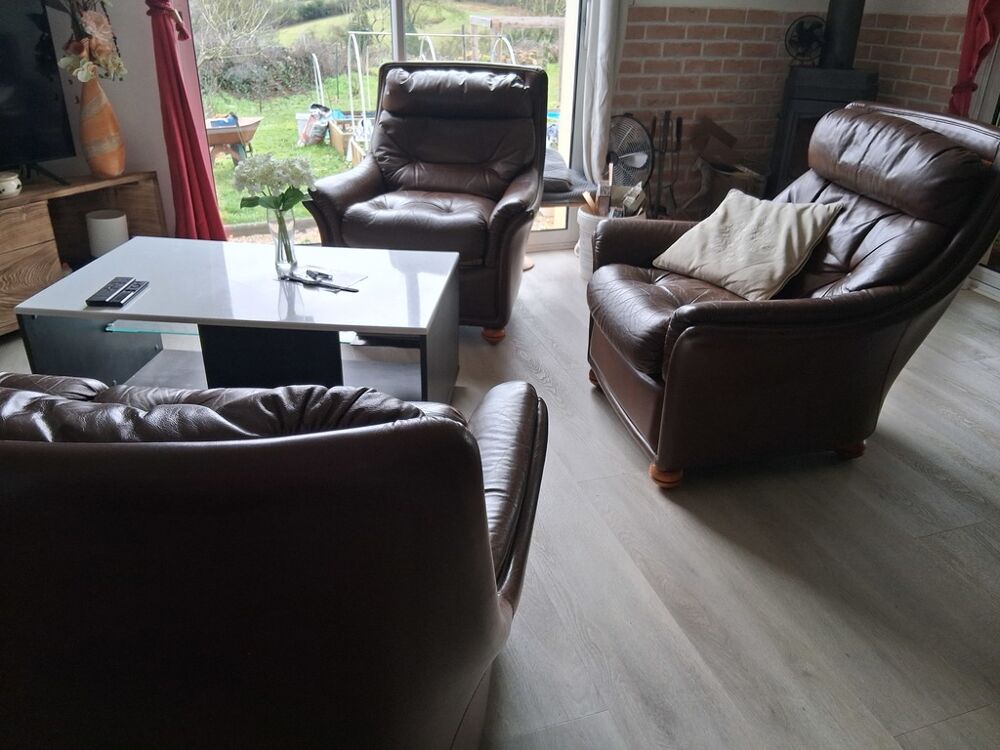 Fauteuil cuir marron salon tr&egrave;s chaleureux ! Meubles