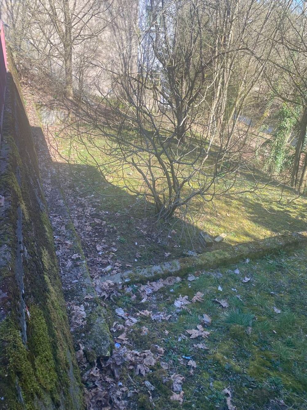 Vente Immeuble immeuble de 4 appartements, plus terrain constructible Réhon