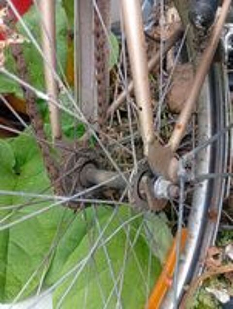   Reparateur de Velo ancien  
