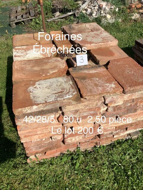 Foraines ebrechees 0 Roques (31)