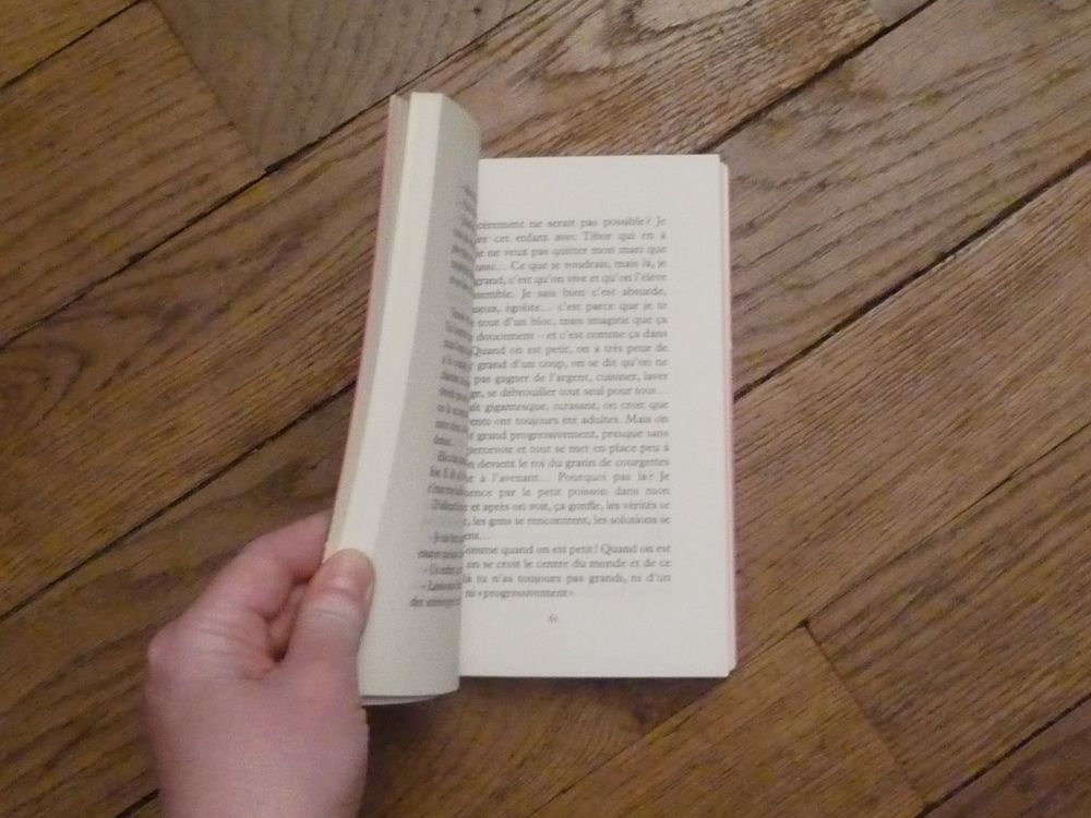 M&eacute;fie Toi des Fruits- Anna Rozen- Le Dilettante Livres et BD