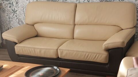 SALON 100 % CUIR VERITABLE 0 Moutrot (54)