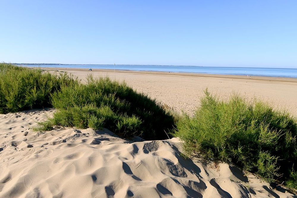  2021 occasion 44250 Saint-Brevin-les-Pins