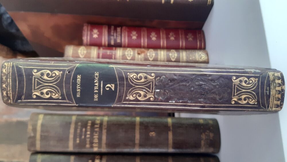 Histoire de France Livres et BD