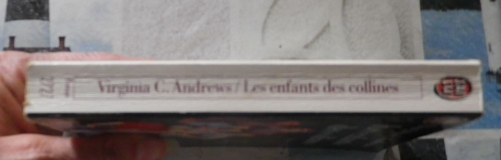 LES ENFANTS DES COLLINES T1 Saga de HEAVEN V. C. ANDREWS Livres et BD