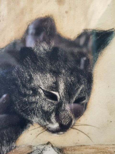 Georges roux  150 Vireux-Molhain (08)