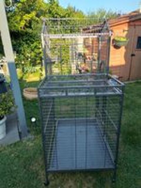   CAGE 