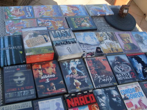 lot de DVD 0 Saint-Lger-des-Bois (49)