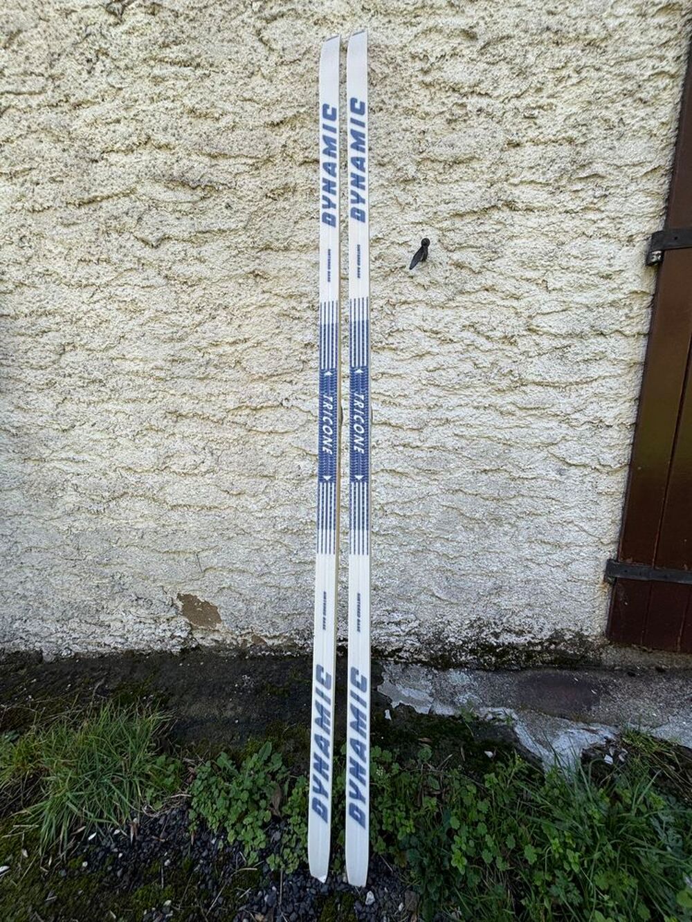 Ski de fond Salomon (dynamic SNS profil) Sports