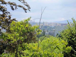  Appartement � louer 2 pi�ces 42 m�