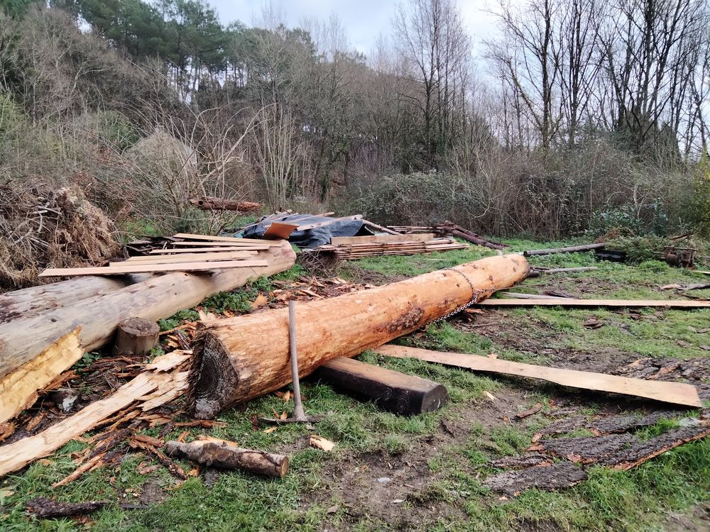 Recherche billo douglas et autres Jardin
