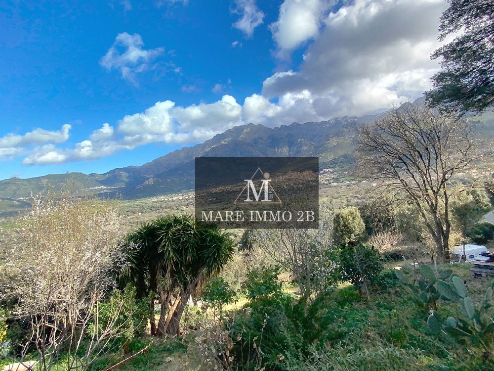 Vente Terrain A SAISIR :Terrain constructible Calvi
