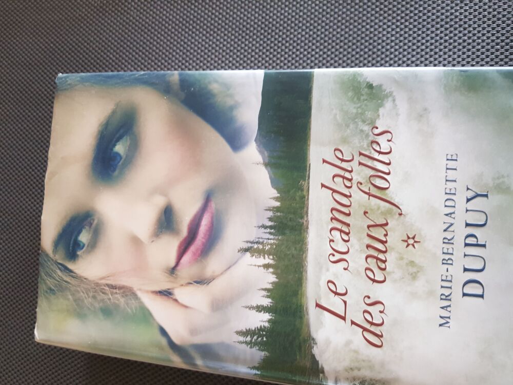 LIVRES MARIE BERNADETTE DUPUY Livres et BD