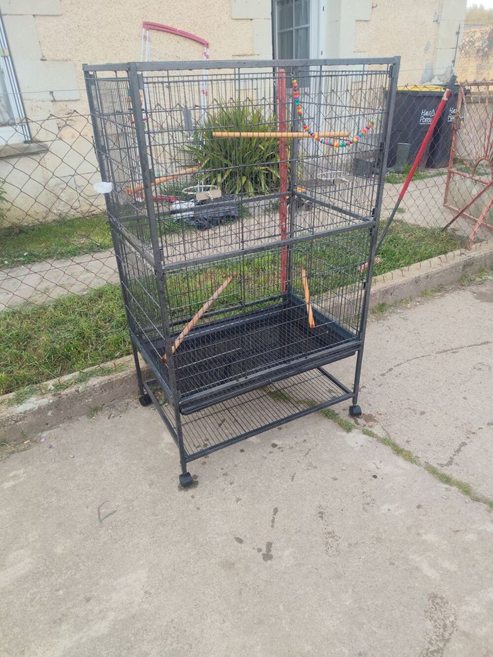   Cage oiseaux  