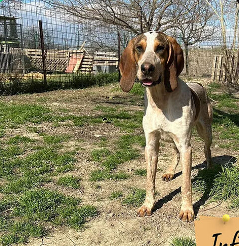 Chase 250 26700 Pierrelatte