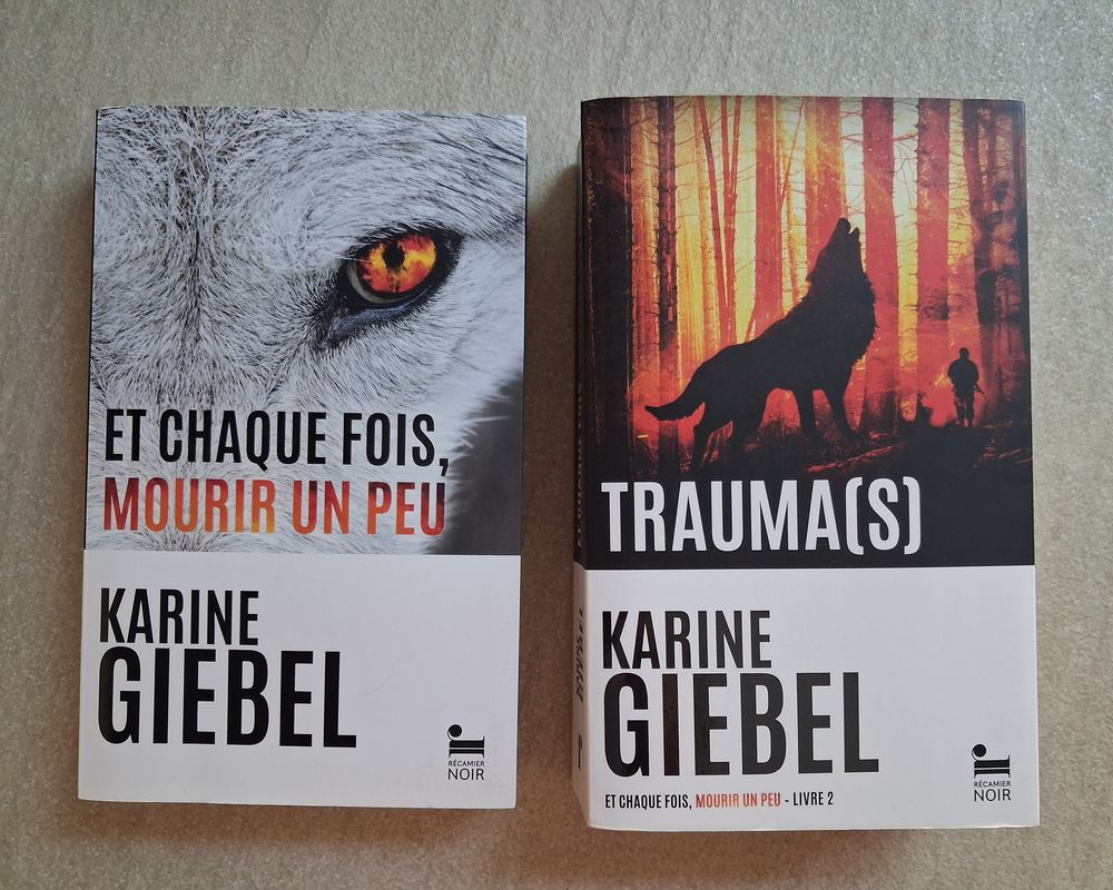 Grand choix de romans Feel Good / Thrillers.
Poche ou Broch&eacute; Livres et BD