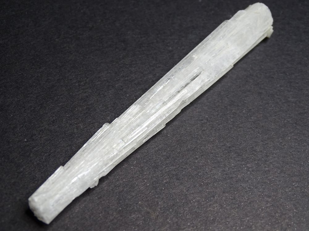Scol&eacute;site Inde 17 gr 113 x 13 x 9 mm 