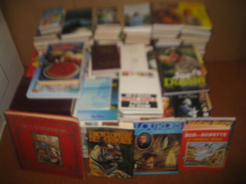 Livres (40):Atlas- animaux- chanteurs- BD- Disney- enfants.. 2 Belgique