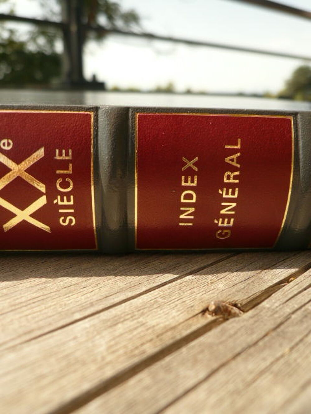 ENCYCLOPEDIE BORDAS XX SIECLE Livres et BD