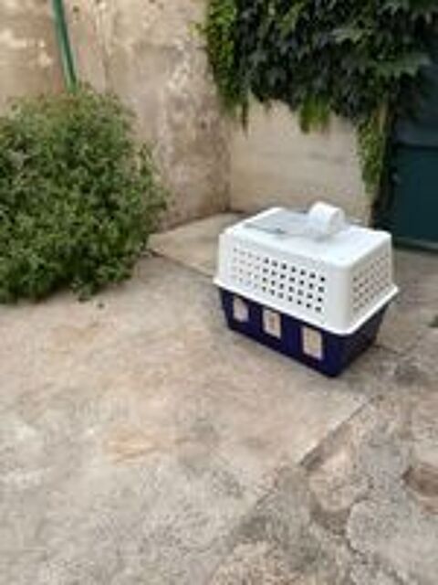   D'UNE CAGE DE TRANSPORT IATA POUR CHIEN, 