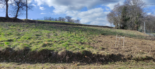  Terrain à vendre 4300 m² Sainte-colombe