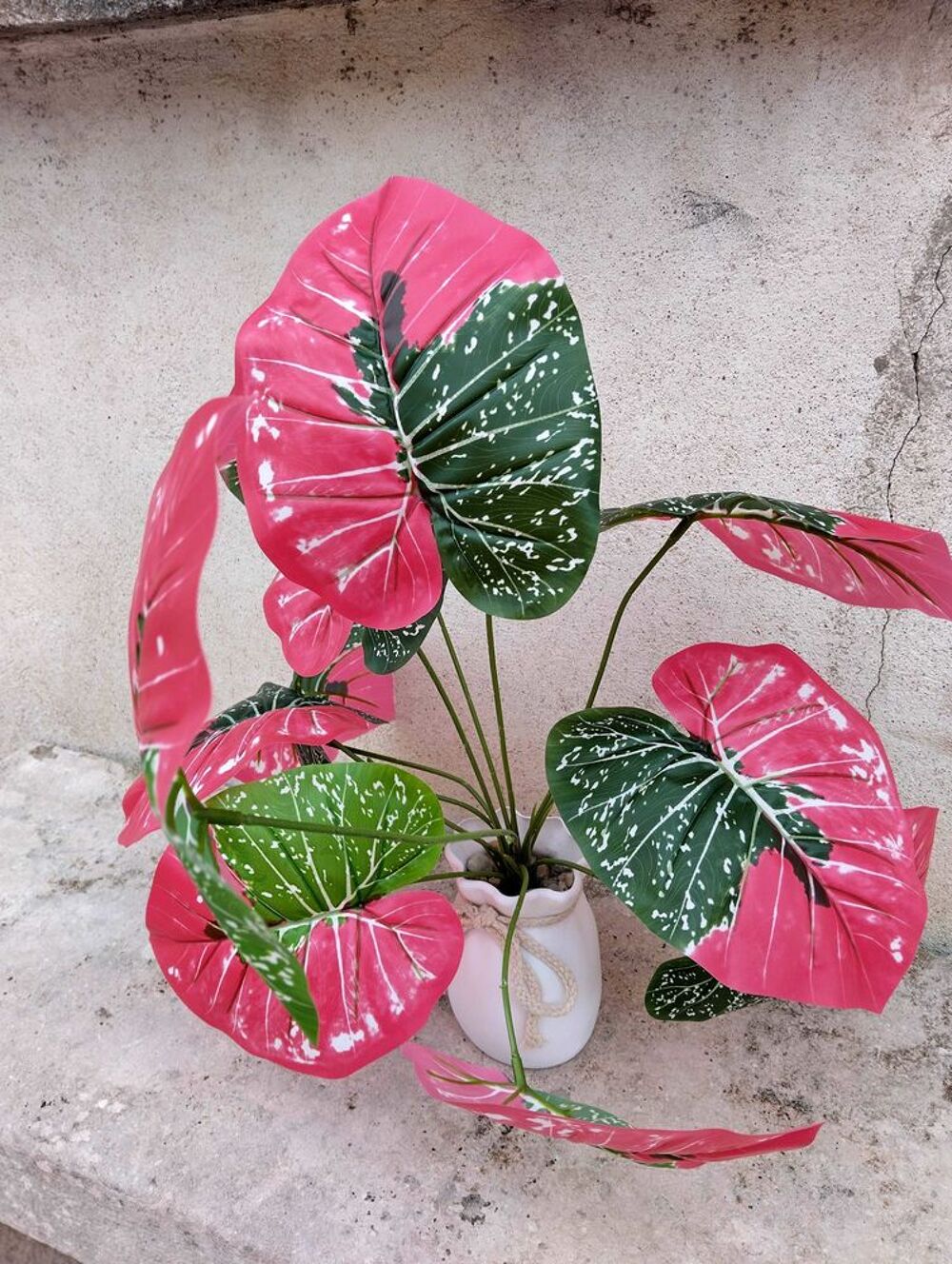 Orchid&eacute;es artificielles et une plante artificielle Jardin