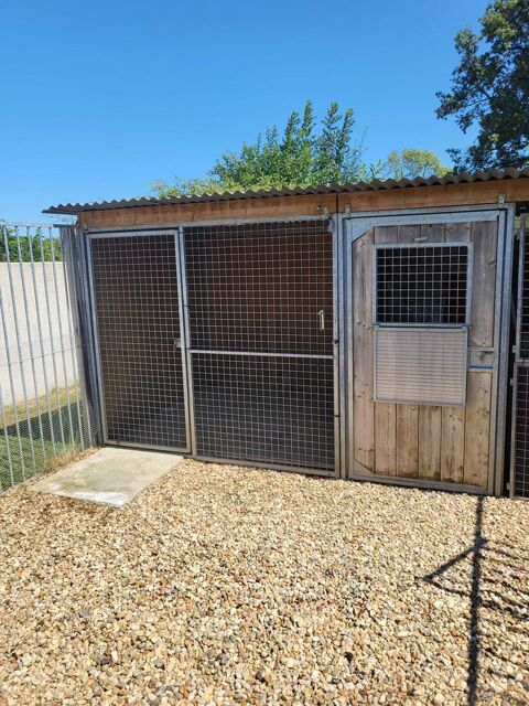 Chalet difac pour chiens 1500 86430 Luchapt