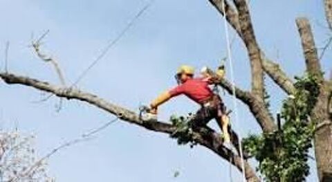 UN AMI CHERCHE DU TRAVAIL TOUS TRAVAUX 0 06160 Juan les pins