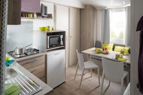 Mobil-Home Mobil-Home 2011 occasion Cadenet 84160