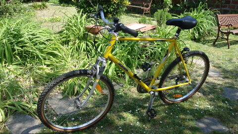 velo homme 
110 Sevran (93)