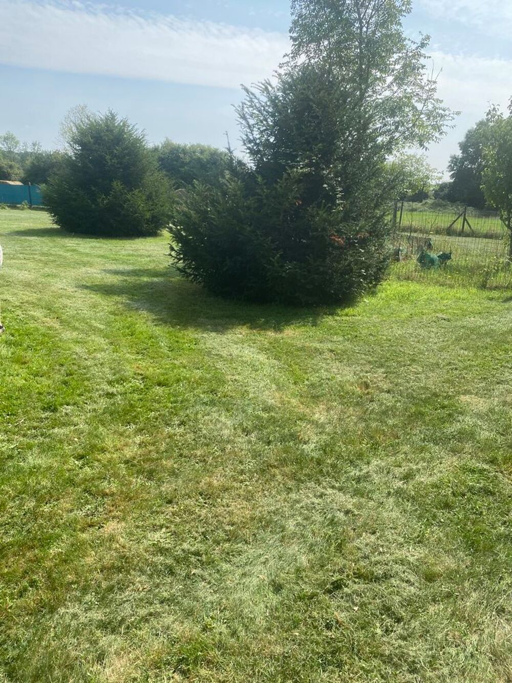 Vente Terrain Terrain de loisirs Lisores