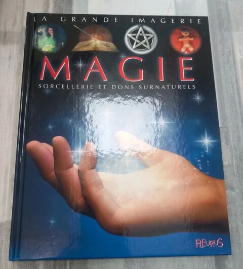 La grande imagerie : Magie Torcé (35)
