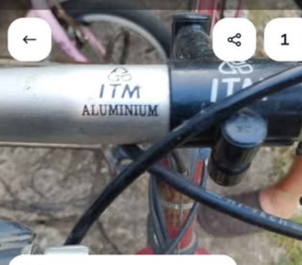 V&eacute;lo homme Vélos