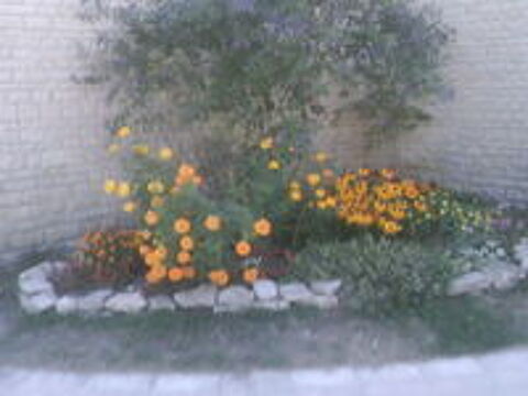   JARDINIER A VOTRE SERVICE 