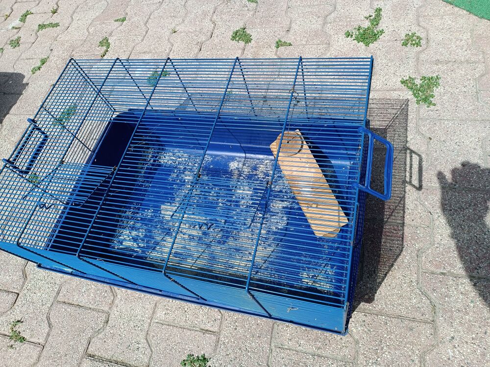 Cage rongeur Jardin