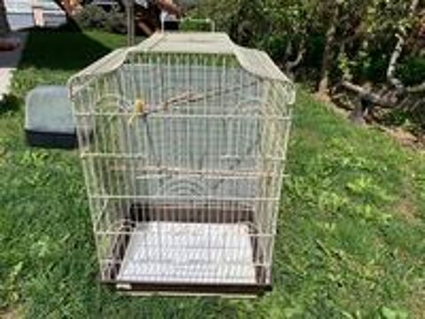   Diamant  gouttelettes mle avec cage 