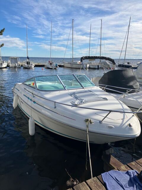 Bateaux à moteur Bateau fluvial 1995 occasion Biscarrosse 40600