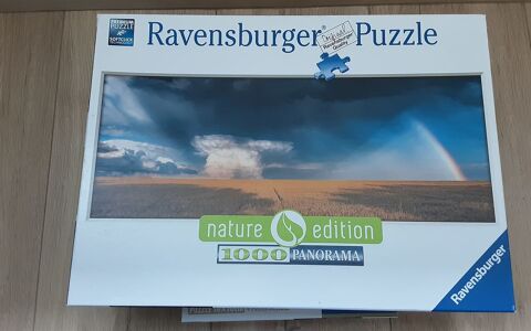 Puzzle 3 Reims (51)