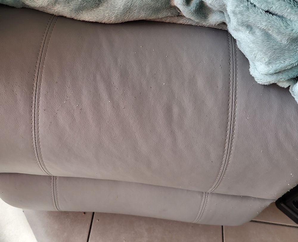 Fauteuil &eacute;lectrique Meubles